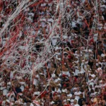 São Paulo divulga nova parcial de ingressos vendidos para jogo contra o Águia